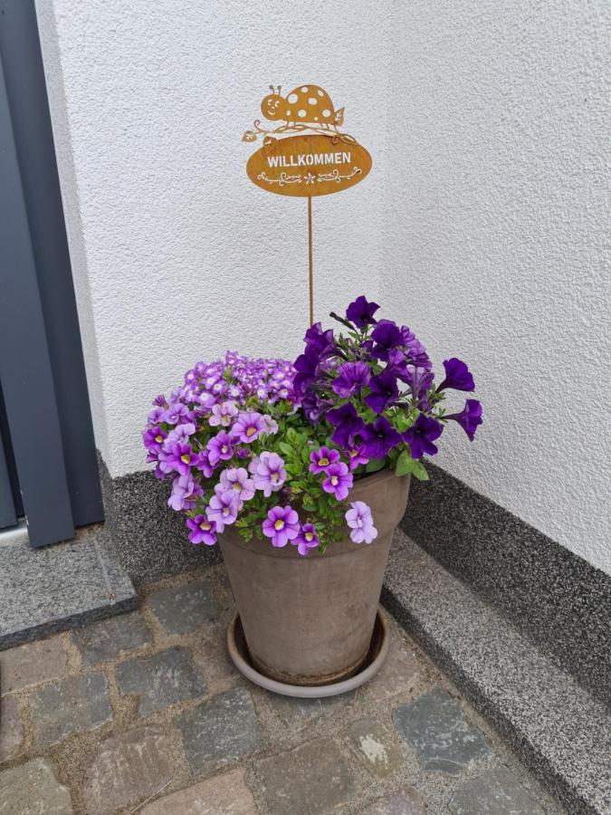 Ferienwohnung Hennemann シュマレンベルク エクステリア 写真